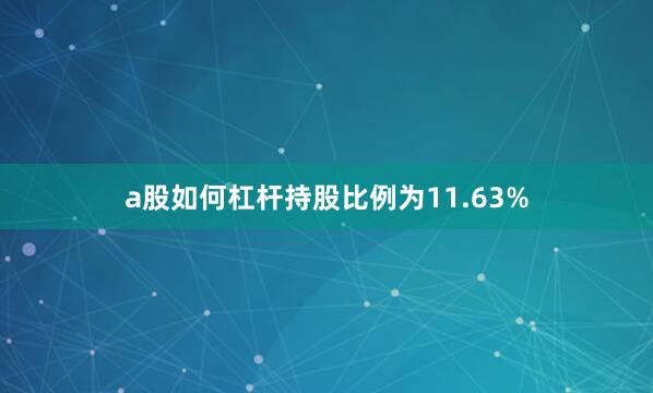a股如何杠杆持股比例为11.63%