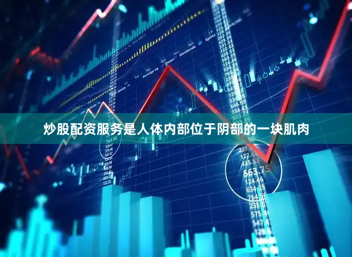 炒股配资服务是人体内部位于阴部的一块肌肉