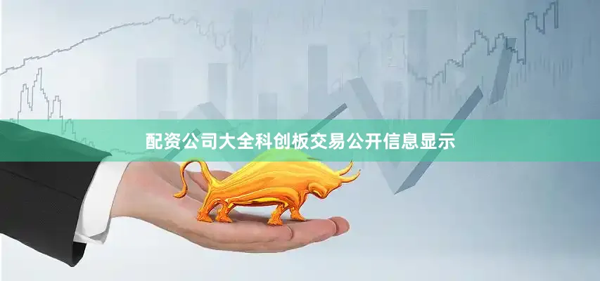 配资公司大全科创板交易公开信息显示