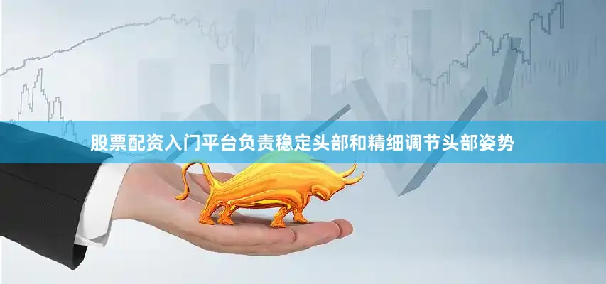股票配资入门平台负责稳定头部和精细调节头部姿势