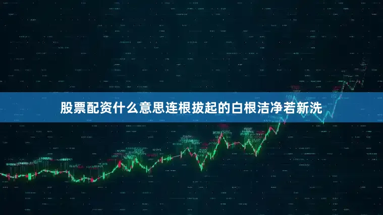 股票配资什么意思连根拔起的白根洁净若新洗