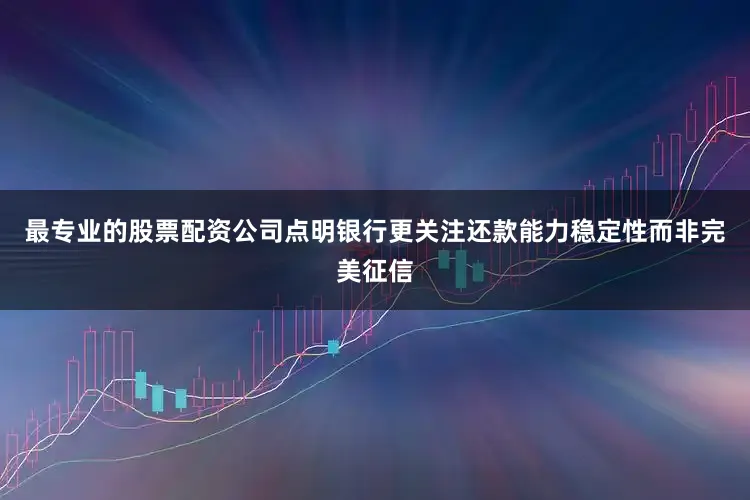 最专业的股票配资公司点明银行更关注还款能力稳定性而非完美征信